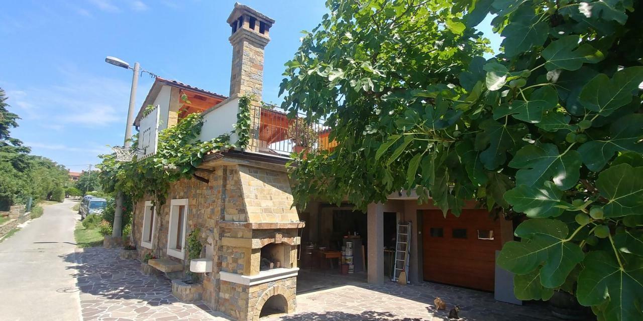 Kmetija Jogan, Wines&Apartments Pobegi Bagian luar foto